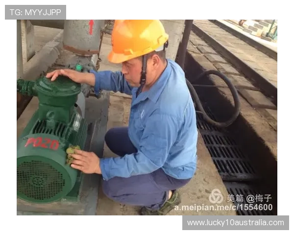 阿布扎比站轮胎损耗模拟，一停与二停策略概率评估